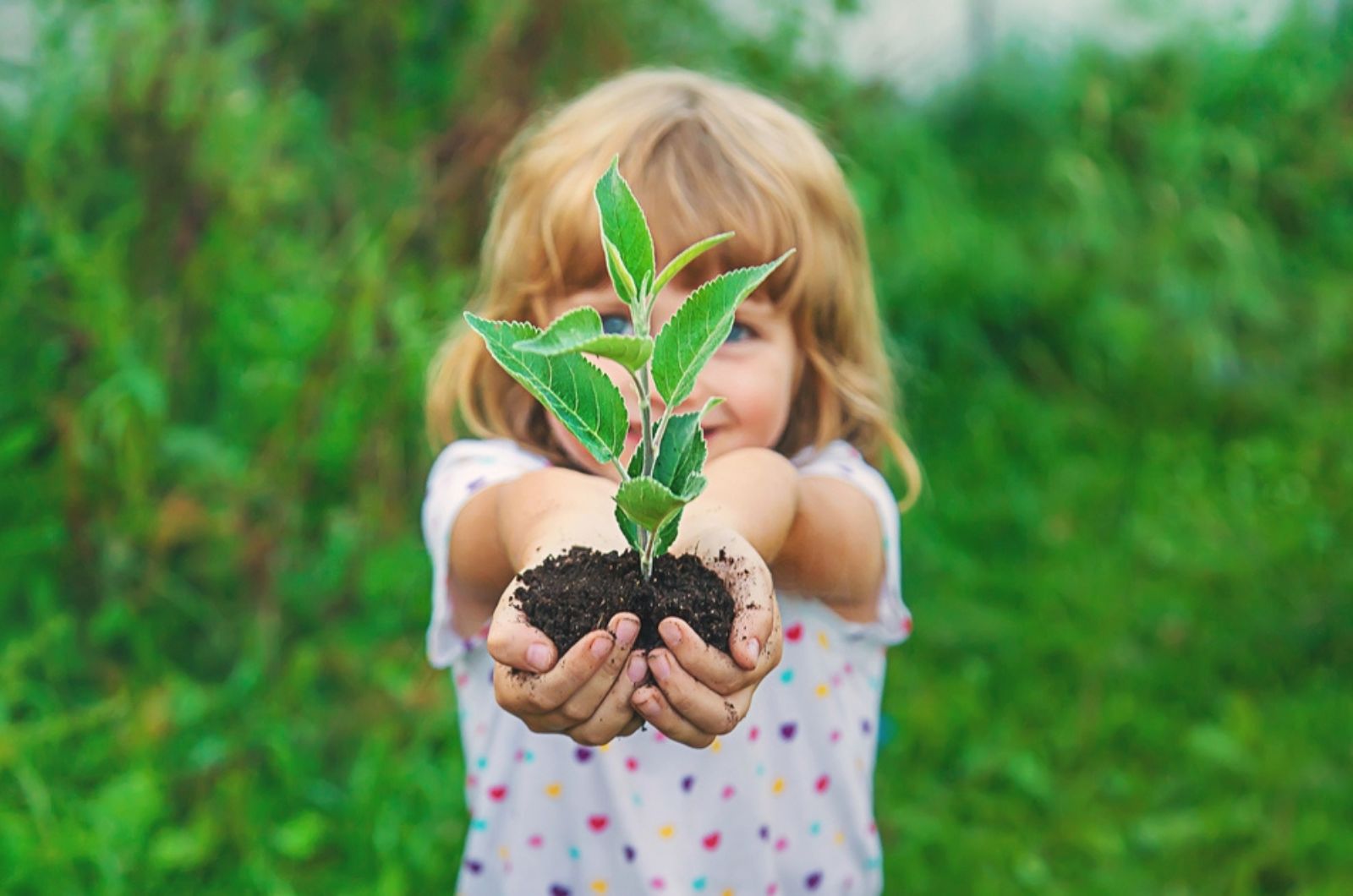 little girl holding plant