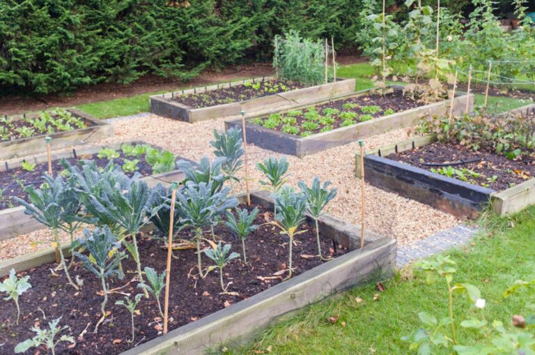 raised beds in fall