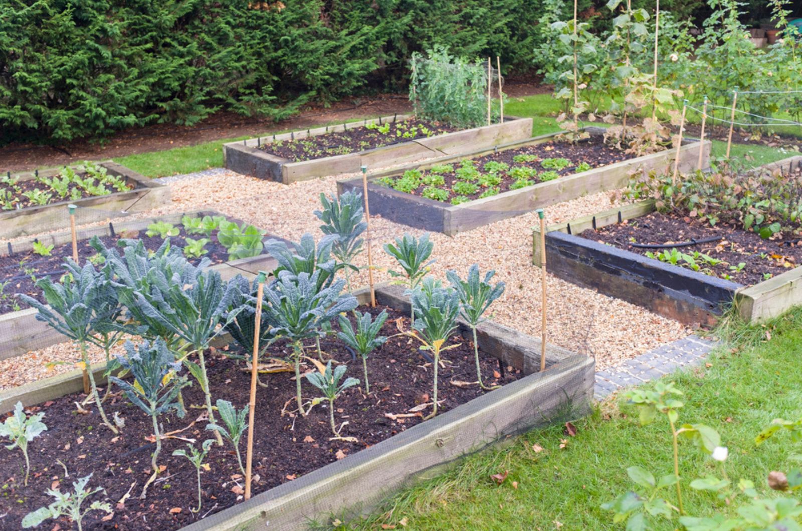 Quick Tricks To Transition Your Raised Beds From Summer To Fall