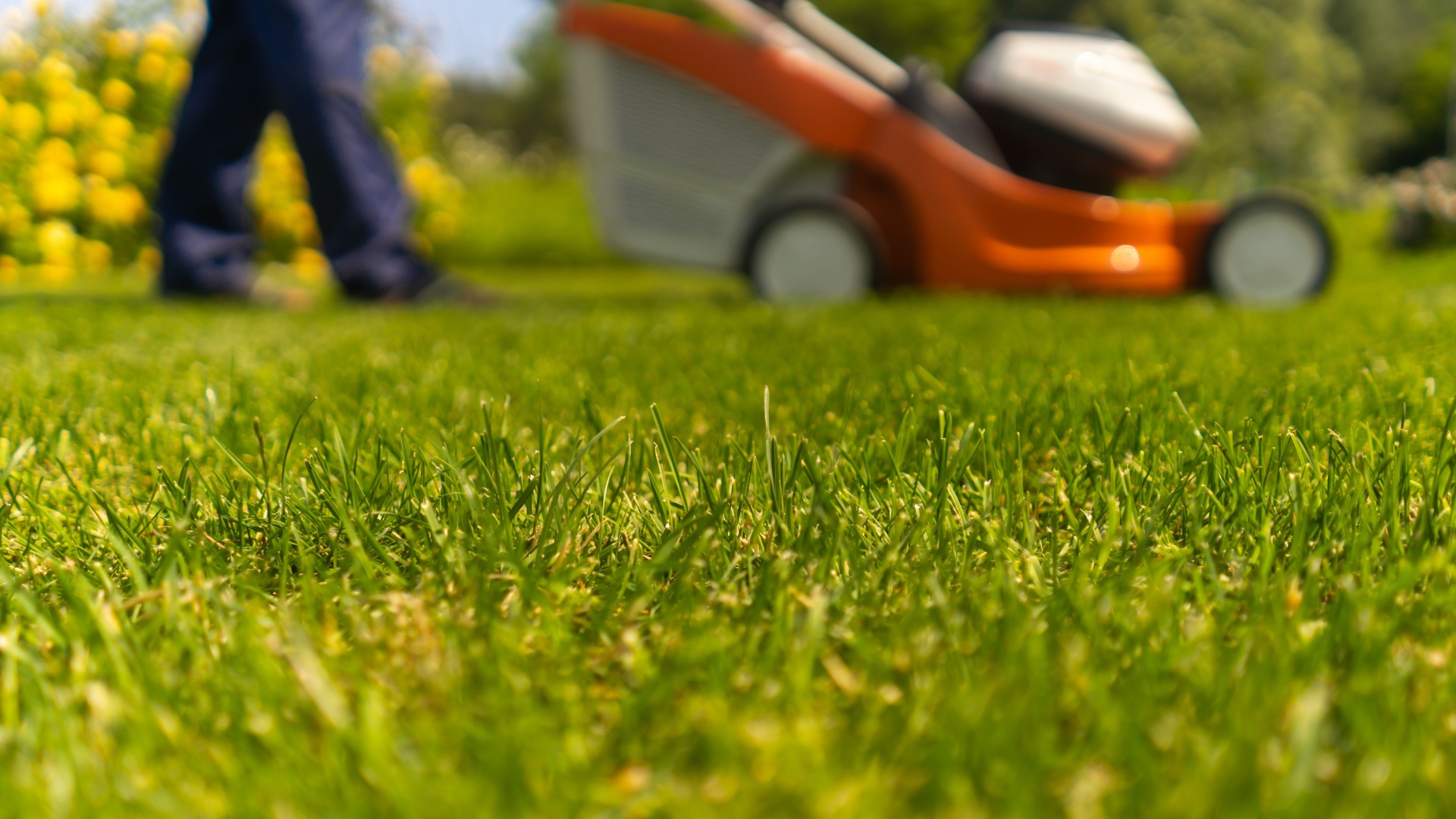 These Tricks Will Help You Avoid Rookie Mistakes While Mowing 