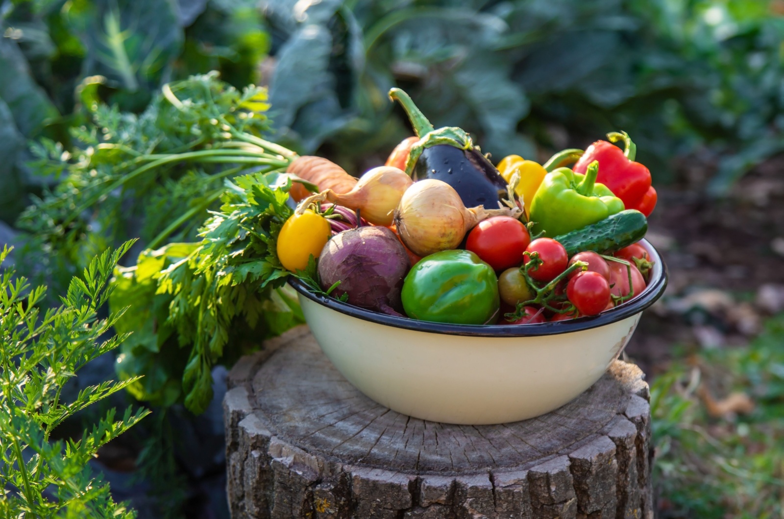 This Is The Perfect Technique To Harvest Your Summer Crops For Peak Flavor