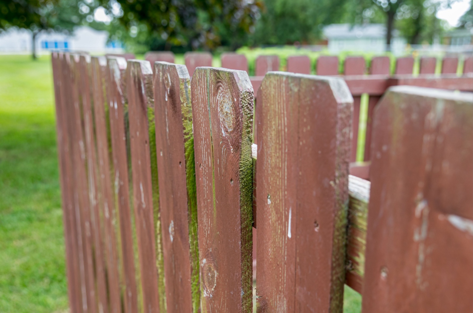 Wooden privacy fence in backyard with peeling paint