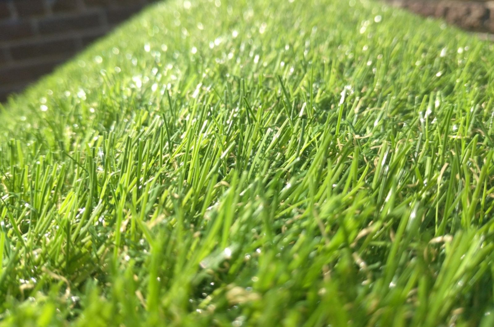 You’ll Never Guess How Many Downsides Plastic Lawns Have