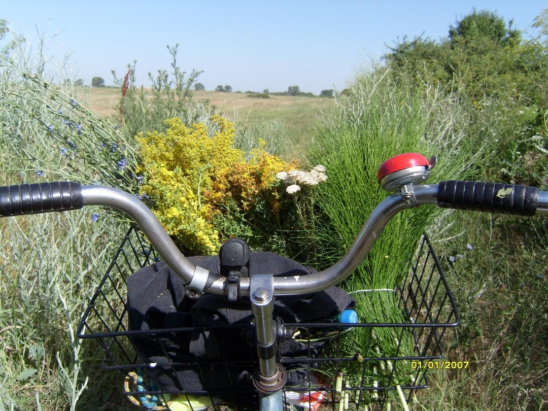 bike with herbs