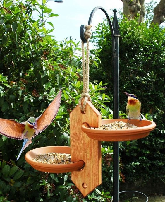 birds on a birdfeeder