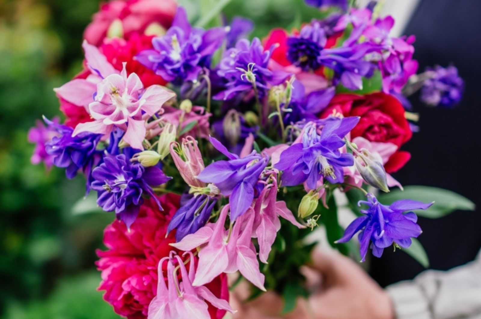 _bouquet of mixed fresh flowers in woman hand