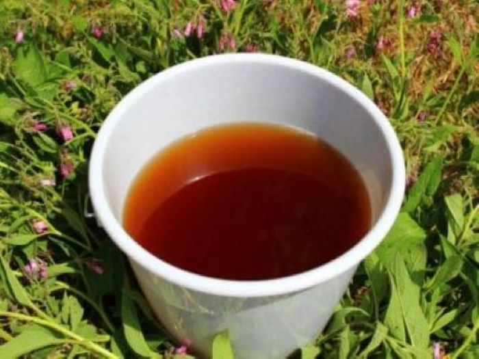 comfrey tea in a cup