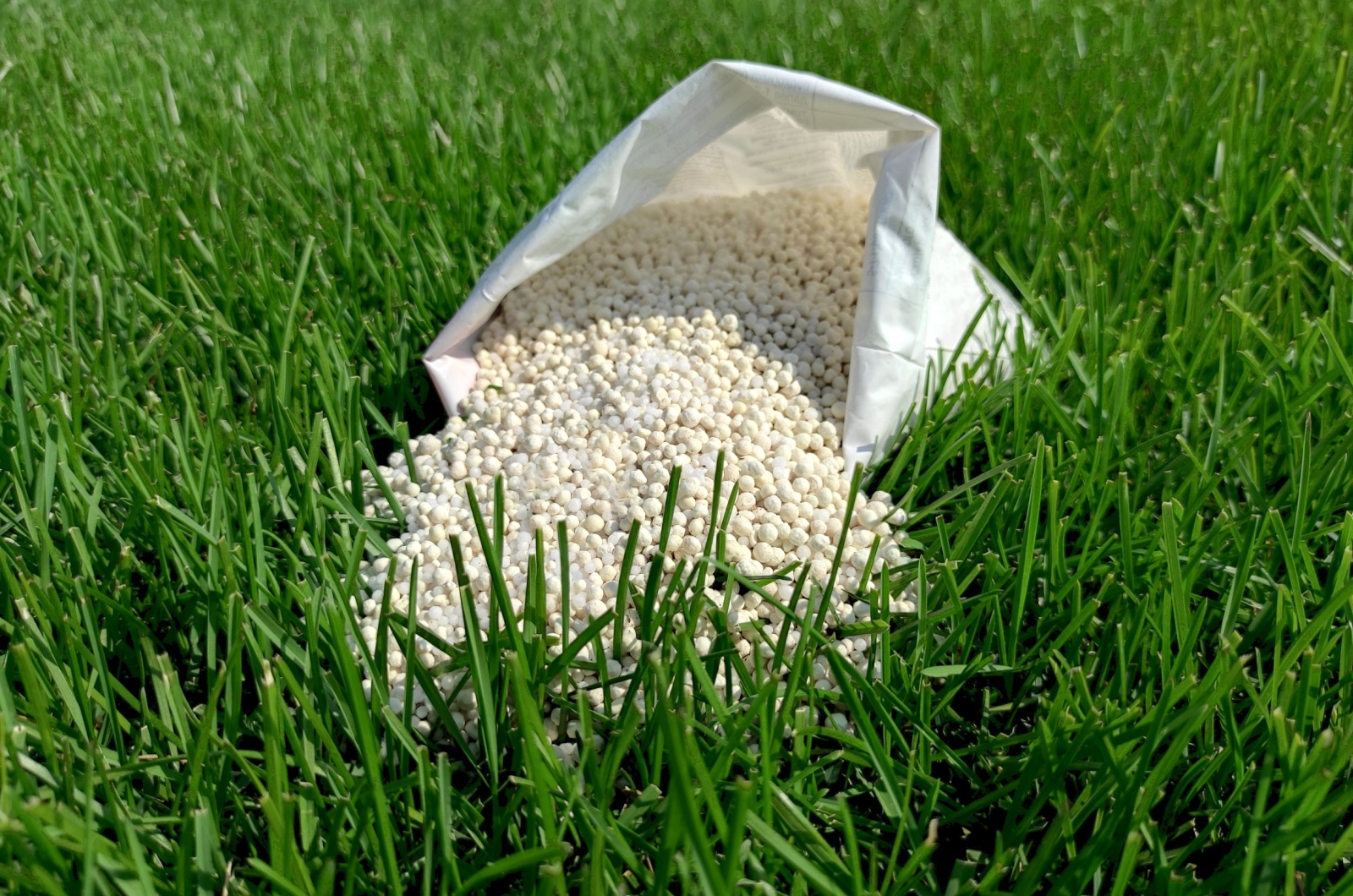 fertilizer on a grass