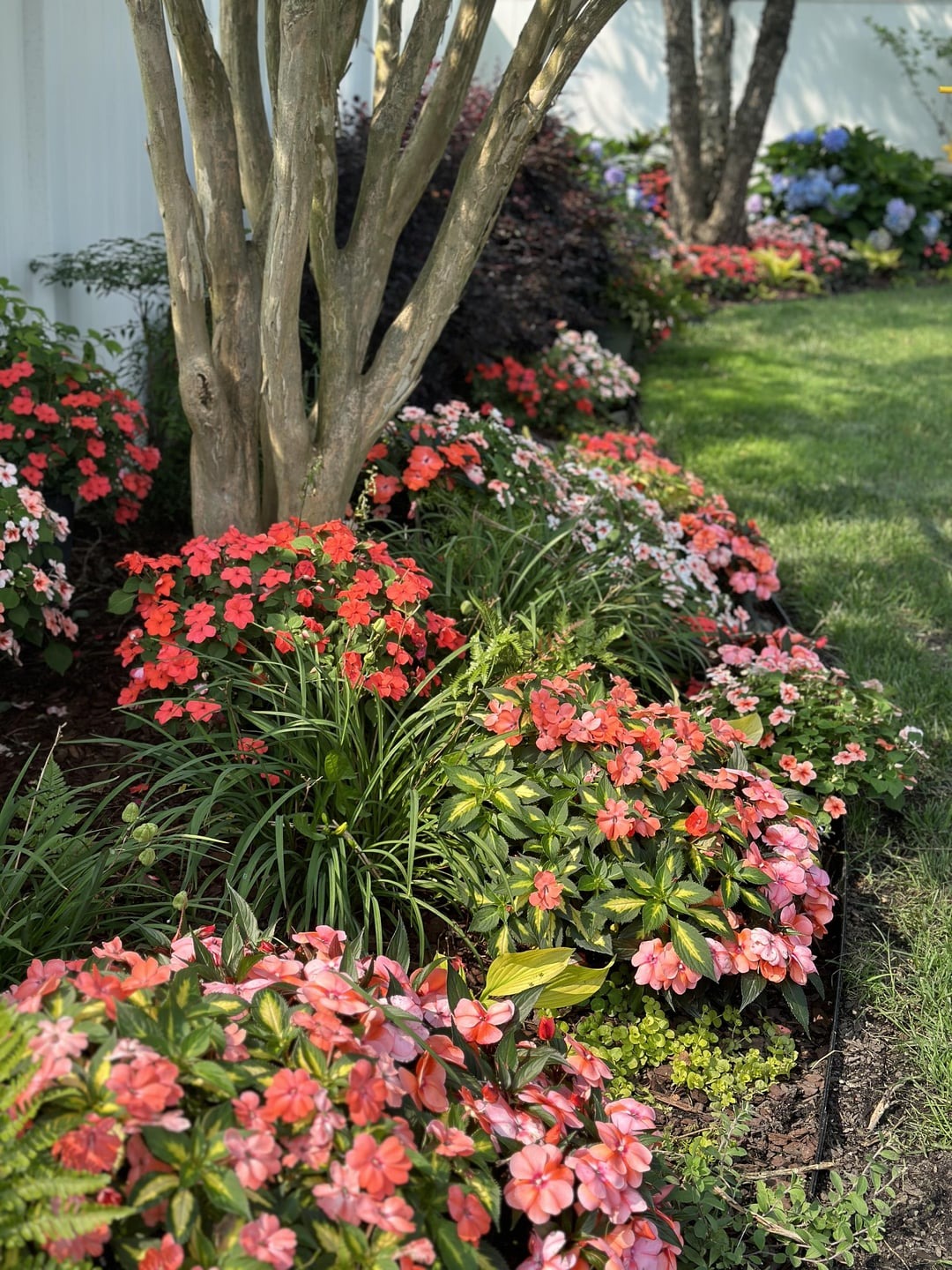 flowers in garden