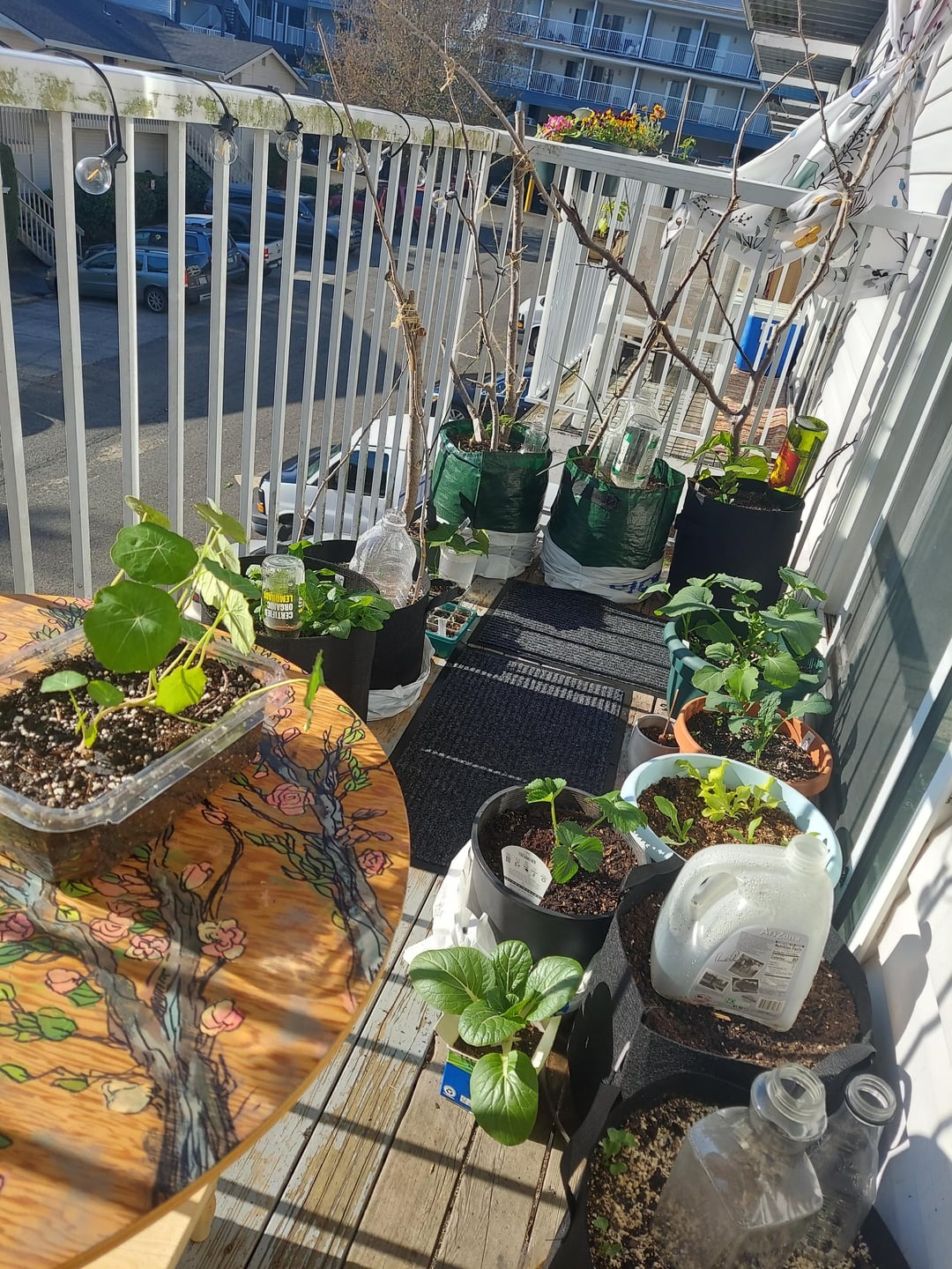 garden balcony