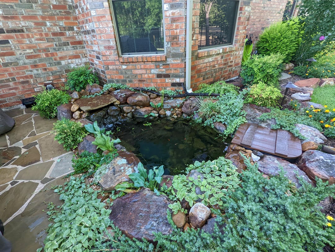 garden pond