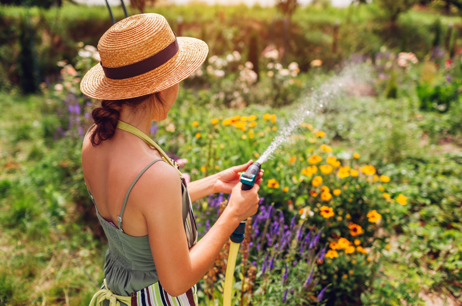 gardener in straw hat watering plants