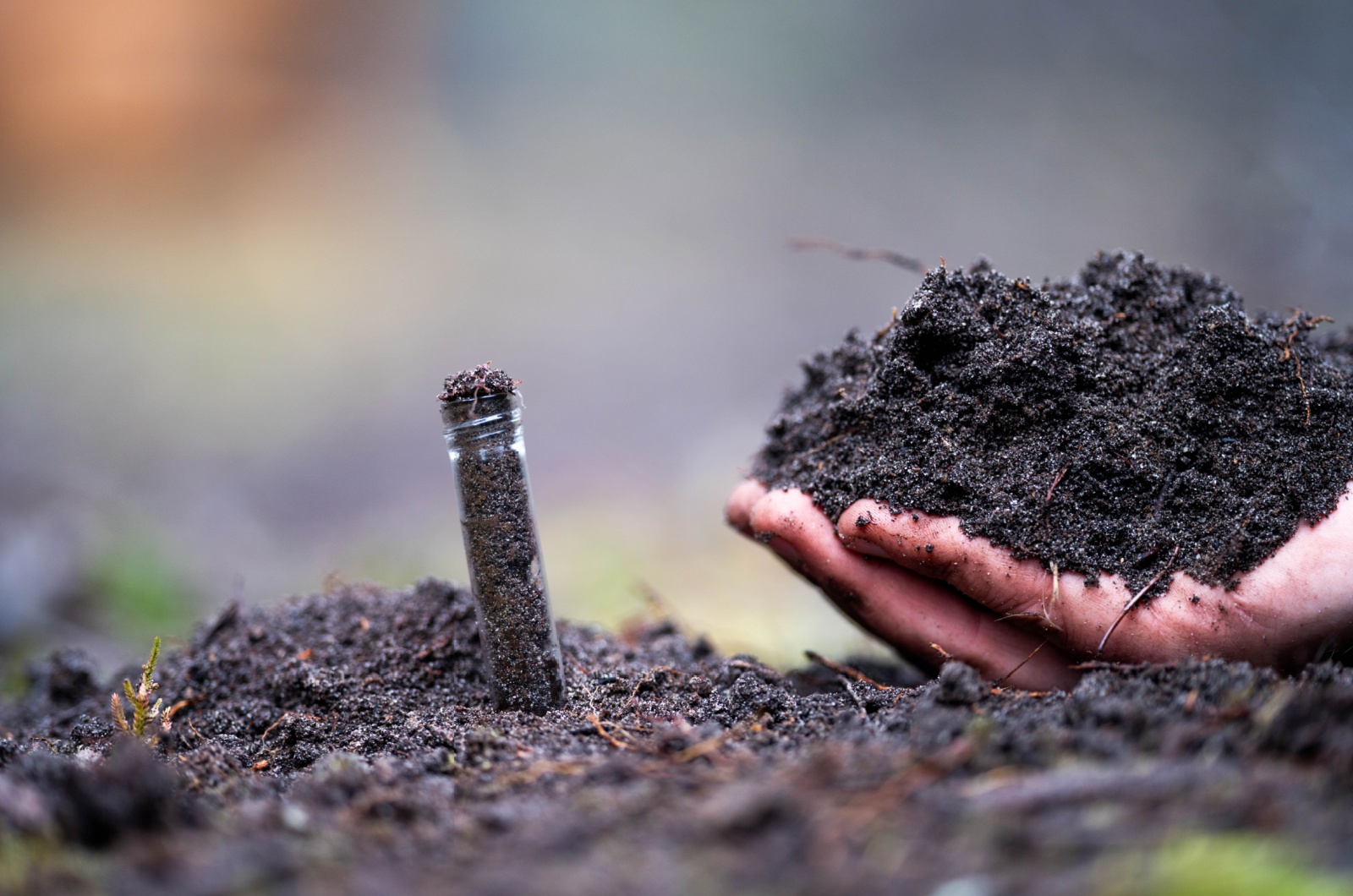 hand holding soil