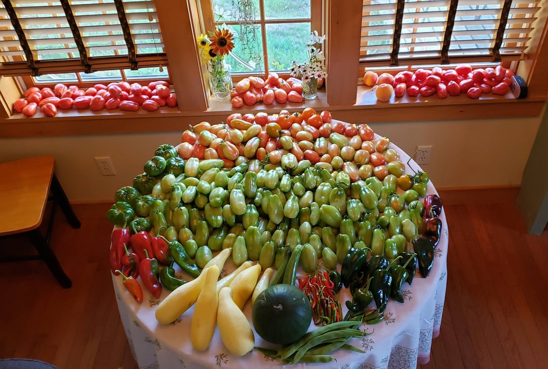 harvested vegetable on a table