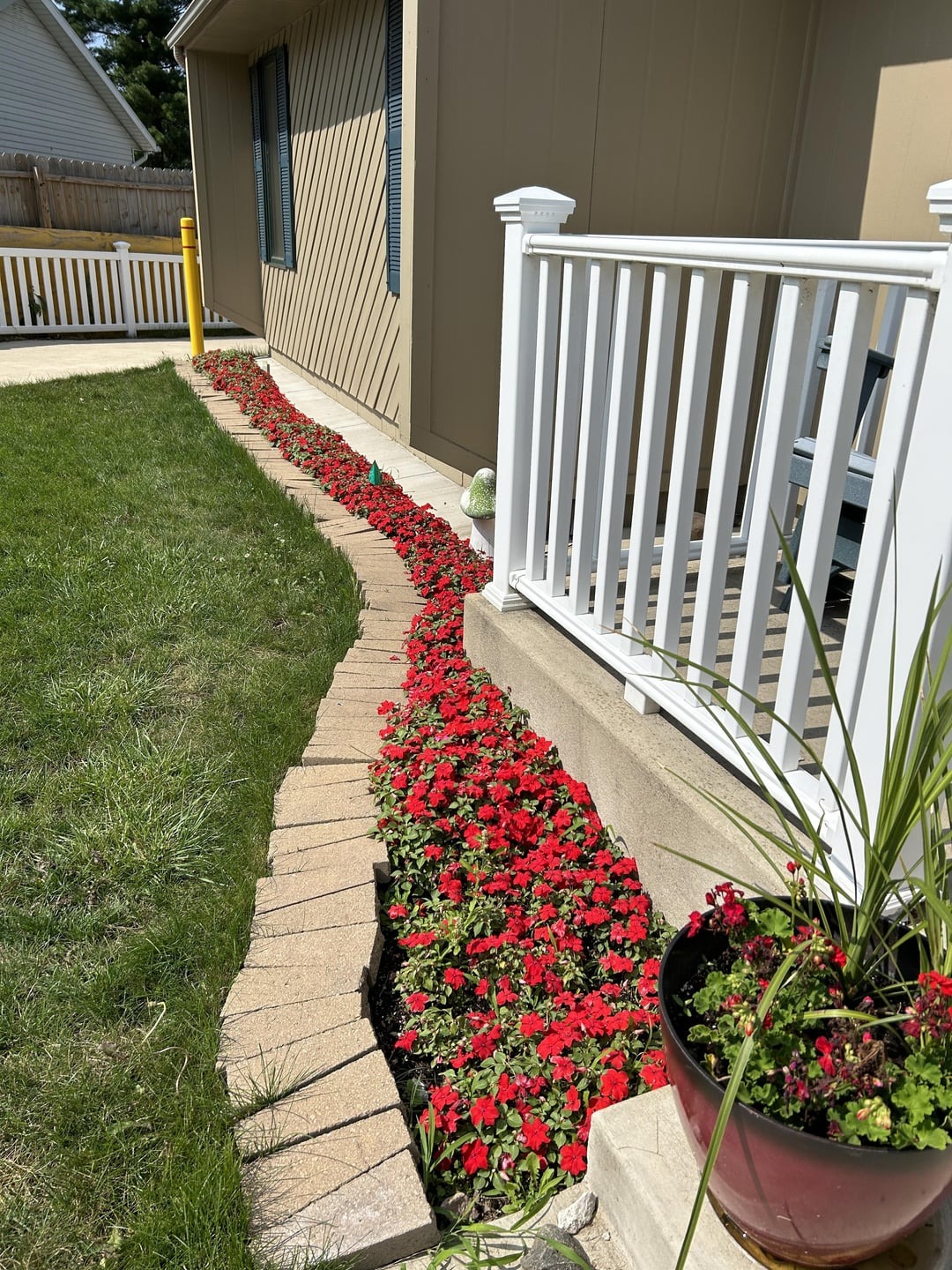 inpatiens next to the house