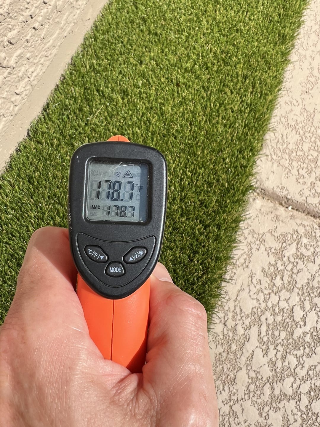 measuring temperature of grass