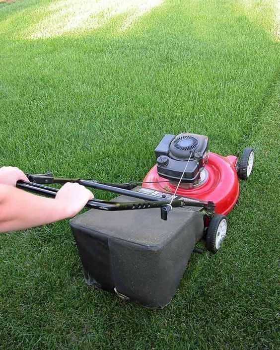 mowing lawn