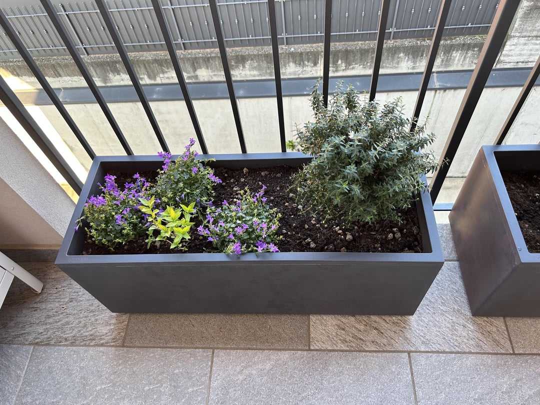 plants in a pot on a balcony