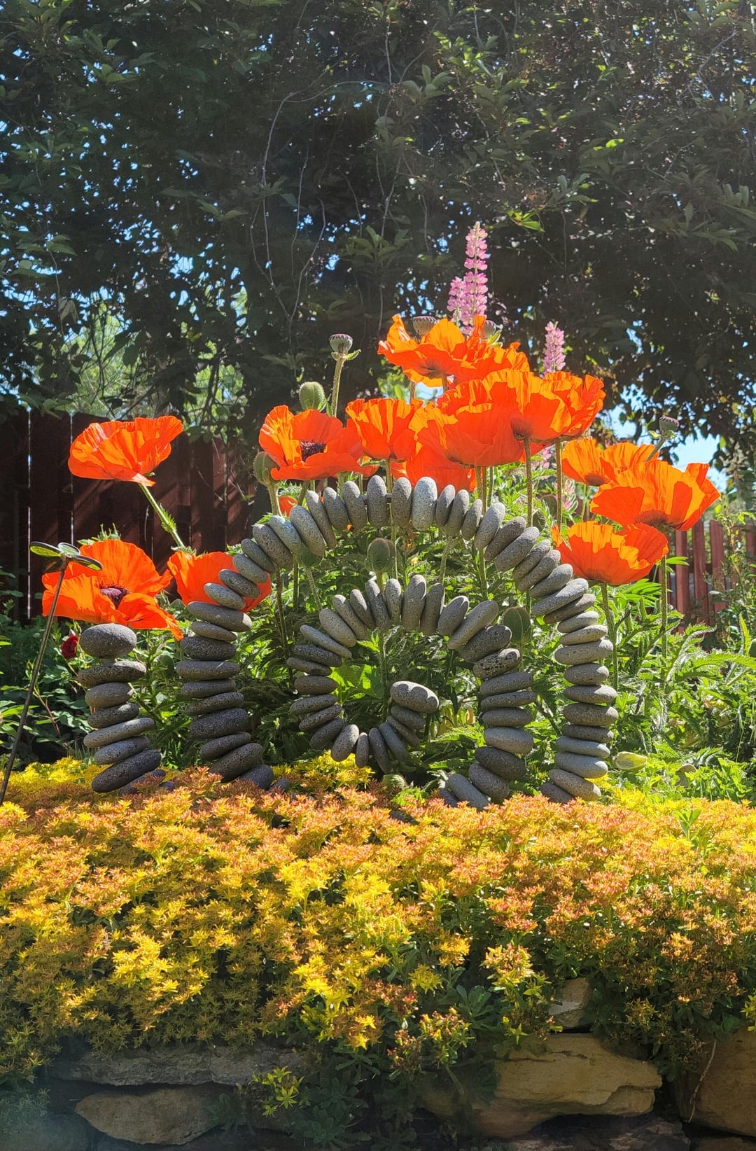 poppies with sculpture in garden