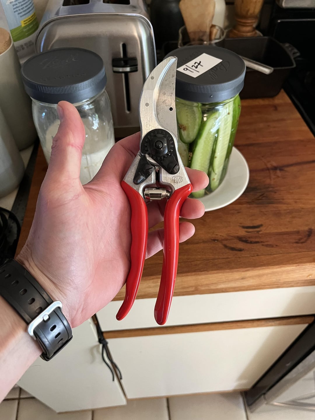 pruning shears