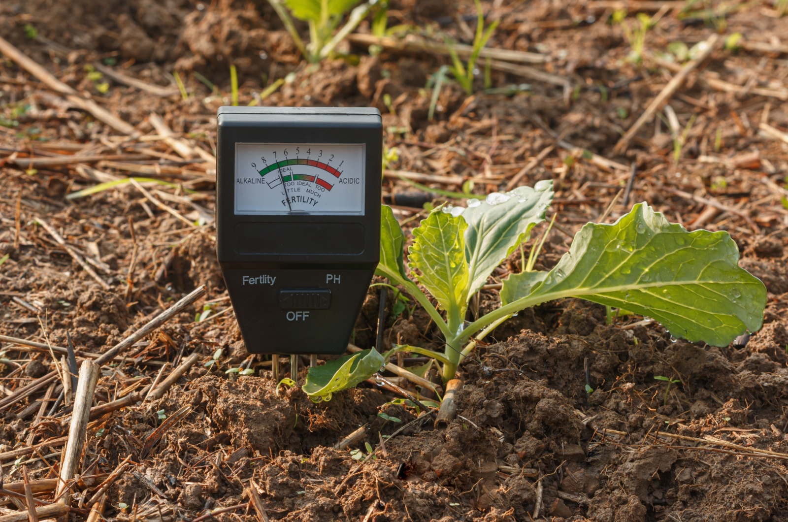 soil meter