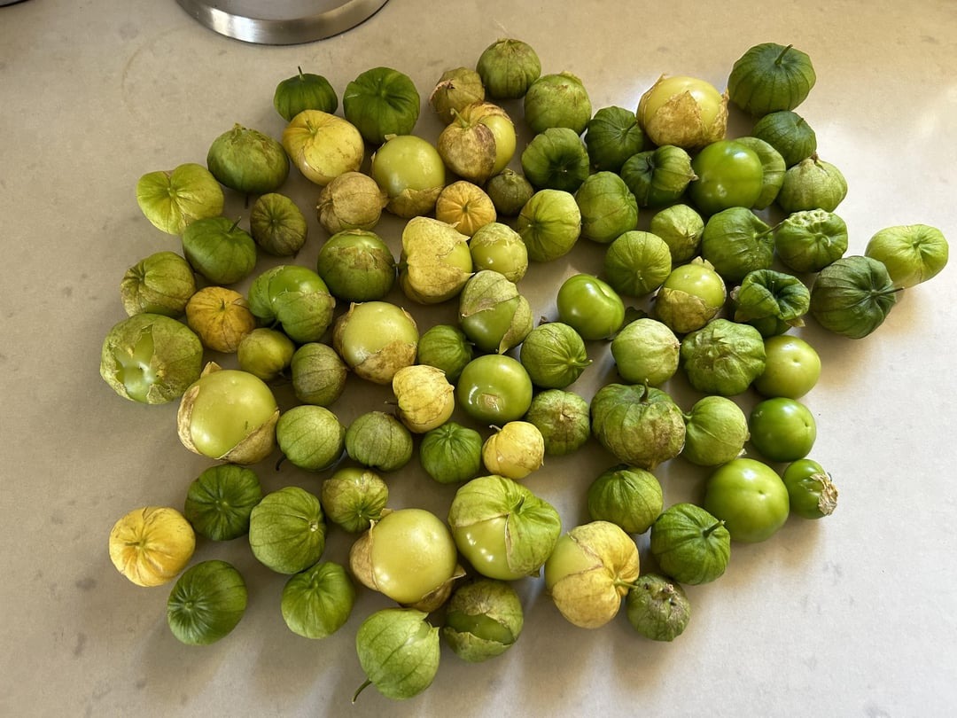 tomatillos on the table