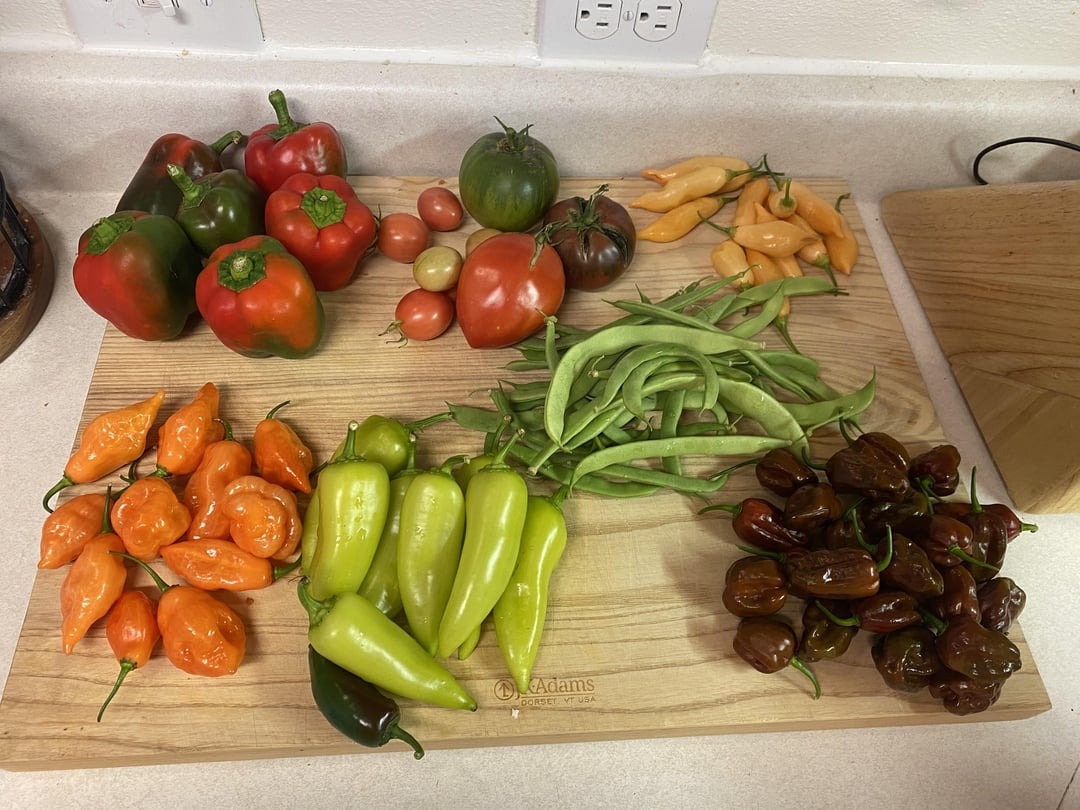 vegetables on table