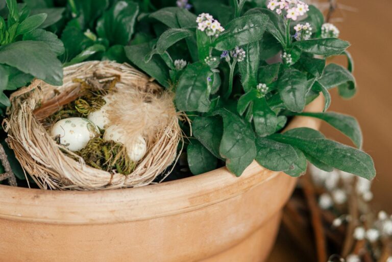 a nest made in a pot