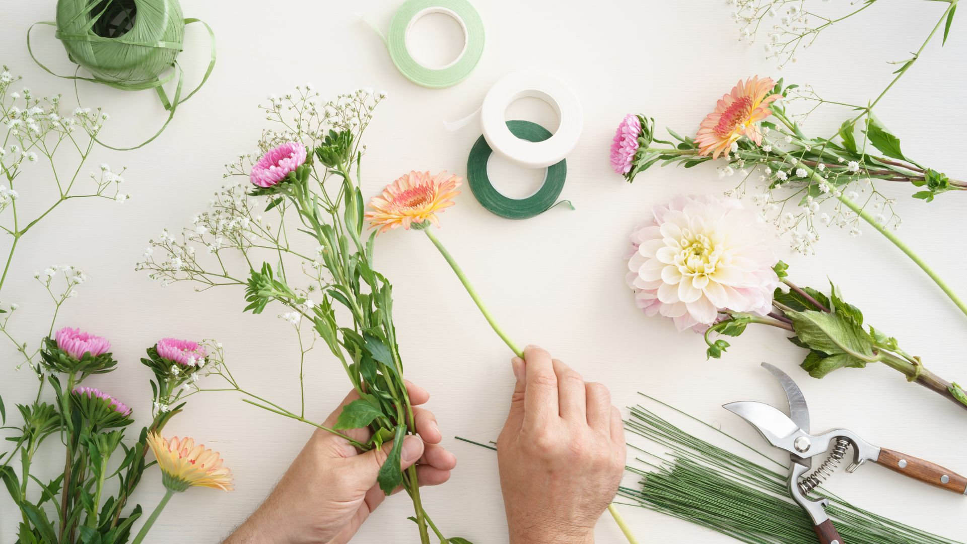 perennial cutting flowers