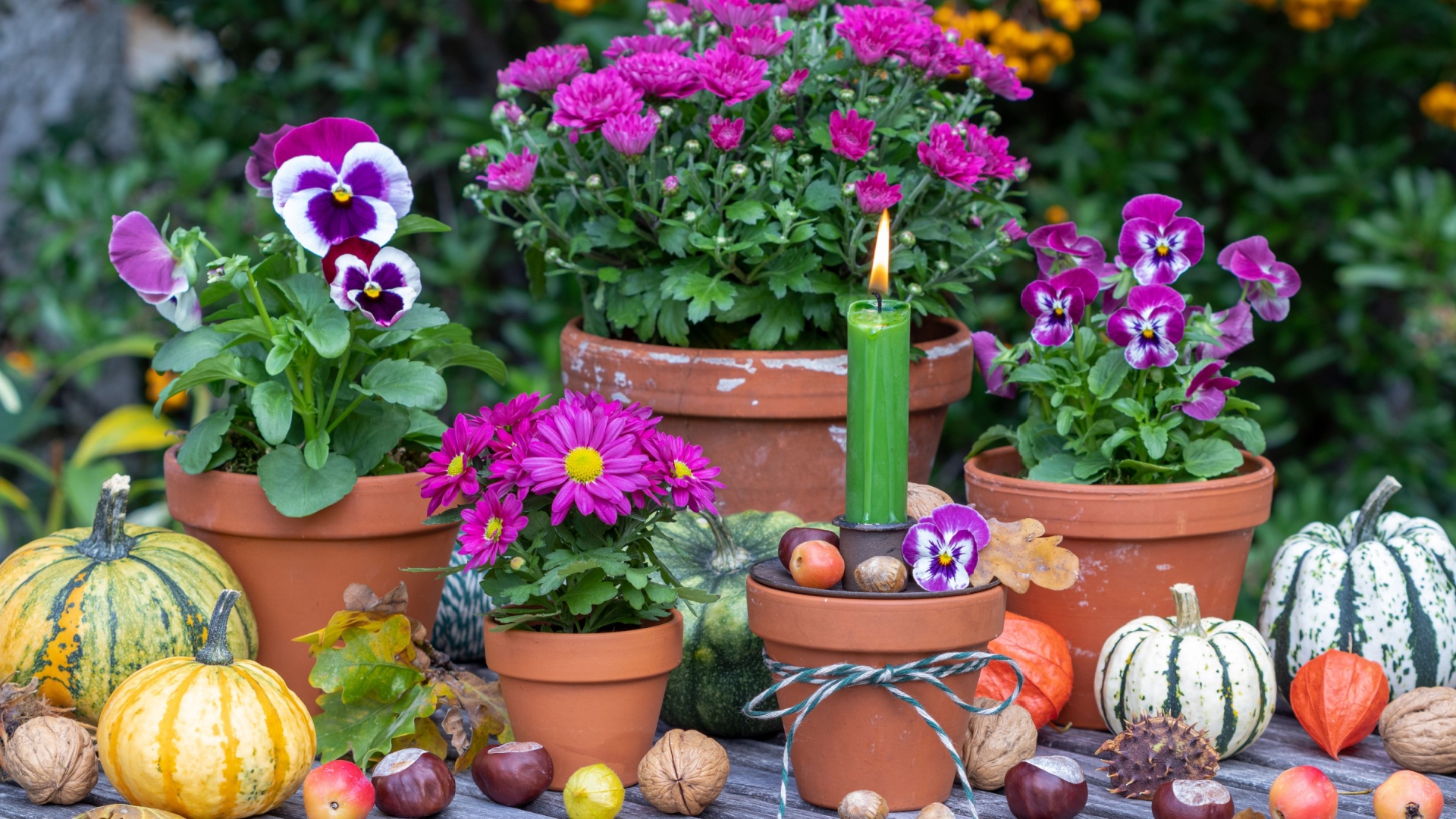 Adorable Ways To Style Your Flower Pots Before Autumn Starts