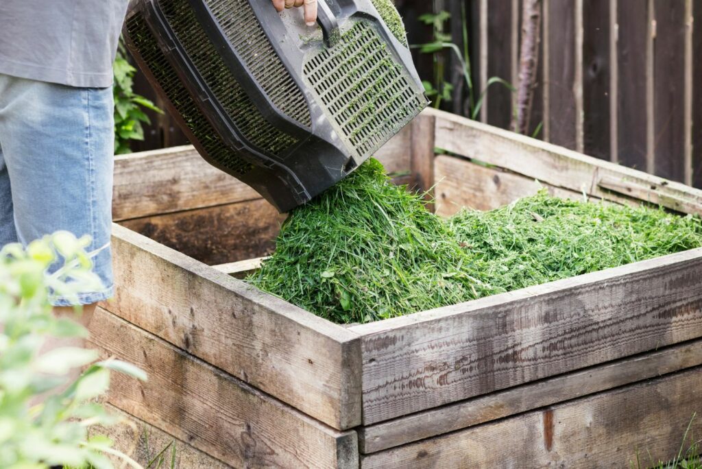 Compost bin with Cut Grass.