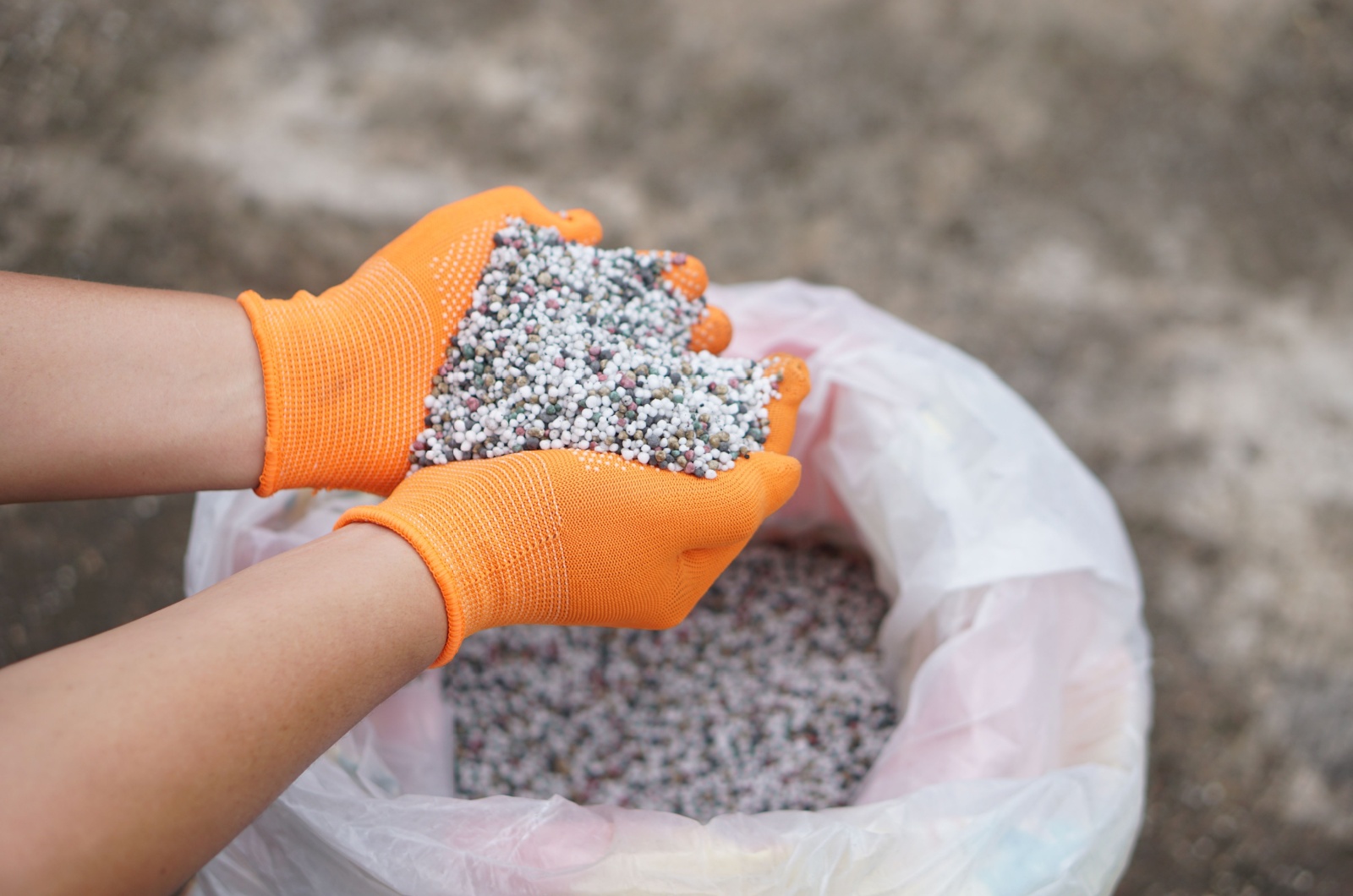 Fertilizer in farmers hand