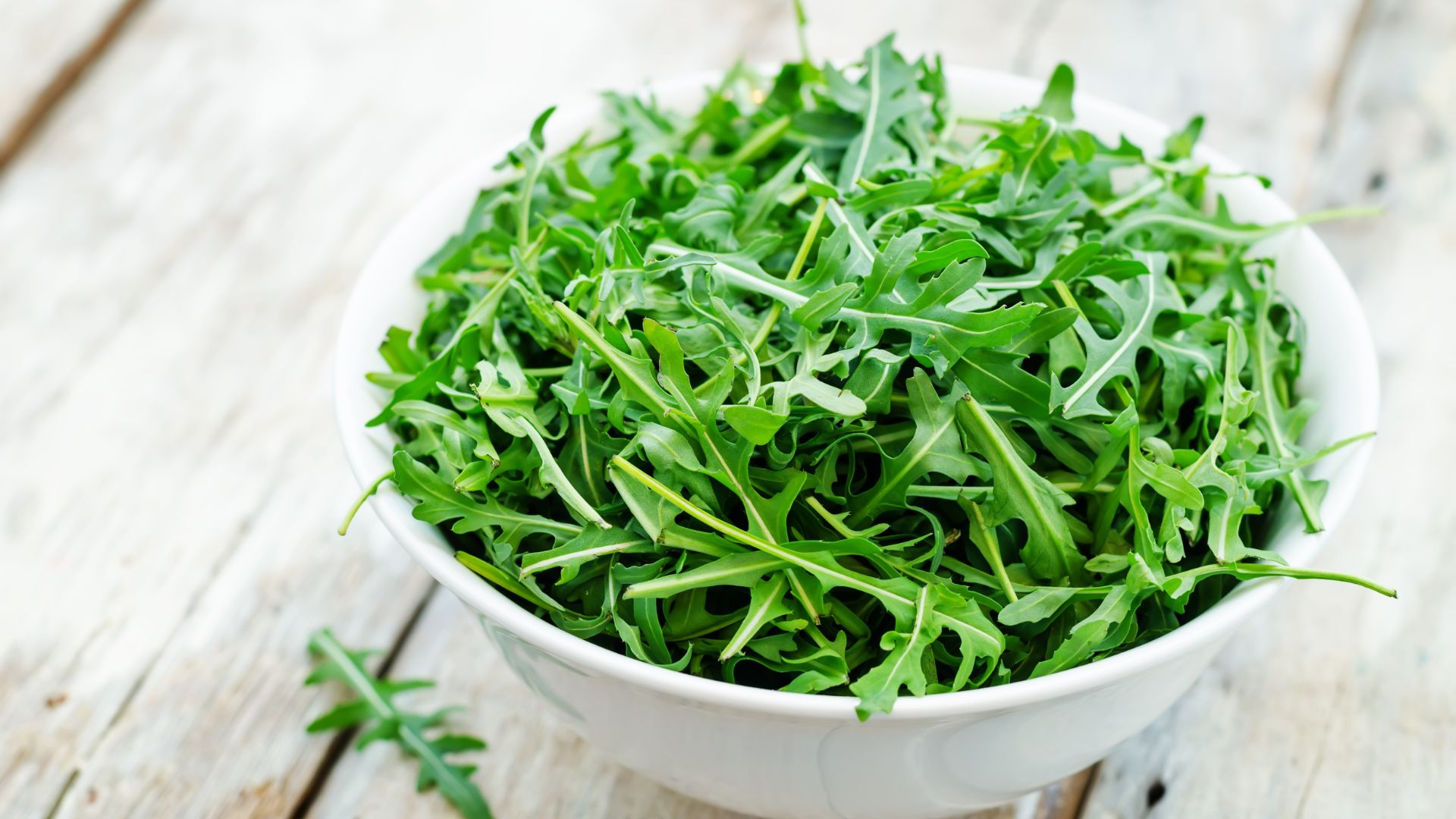 How To Plant Arugula Like A Pro And Maximize Your Harvest 