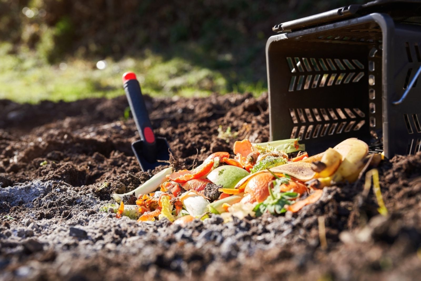 If You Want To Boost Your Plants’ Amazing Growth, Use Compost