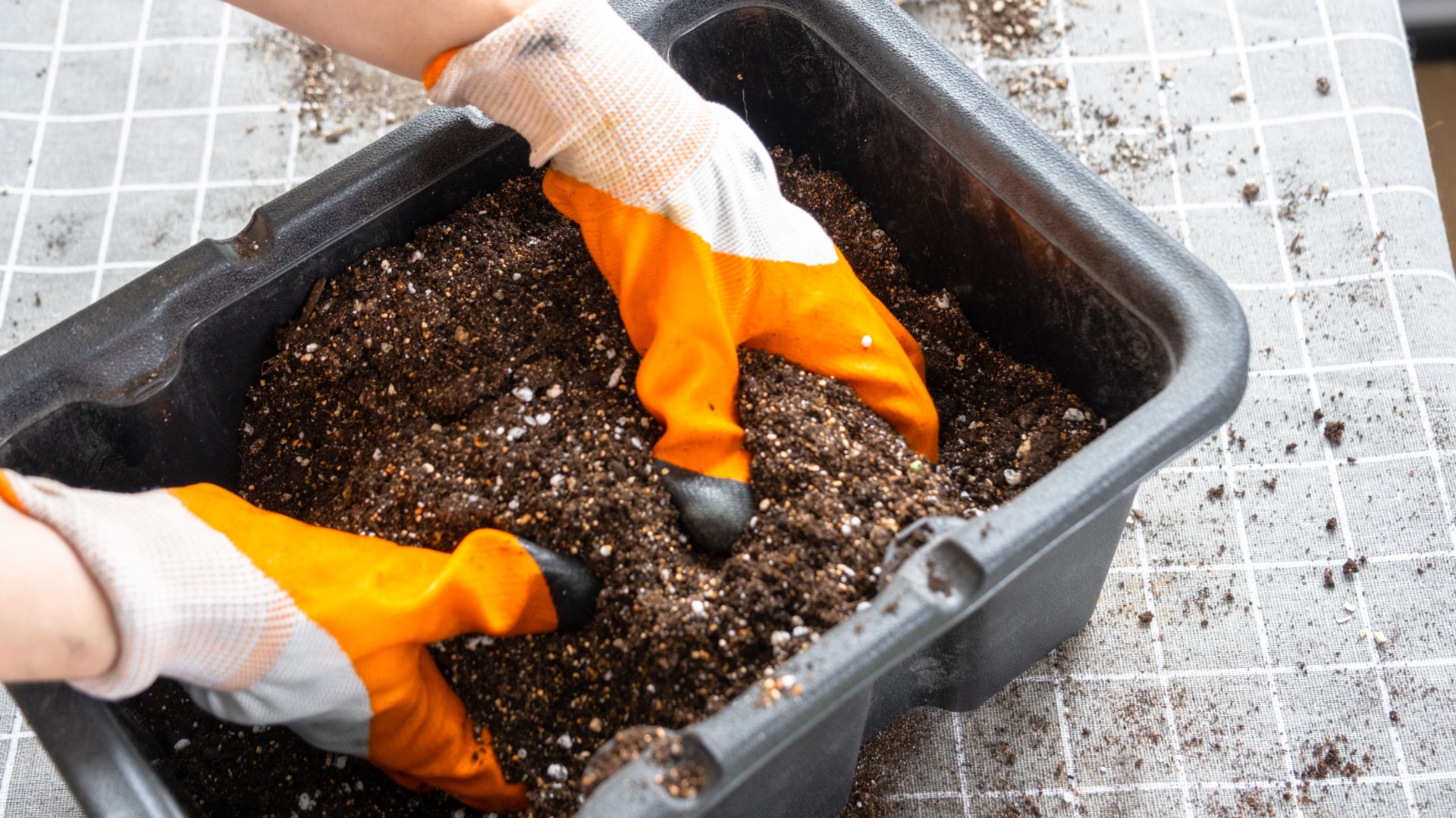 Make Your Container Plants Grow And Thrive With These Game-Changing Fertilizing Strategies