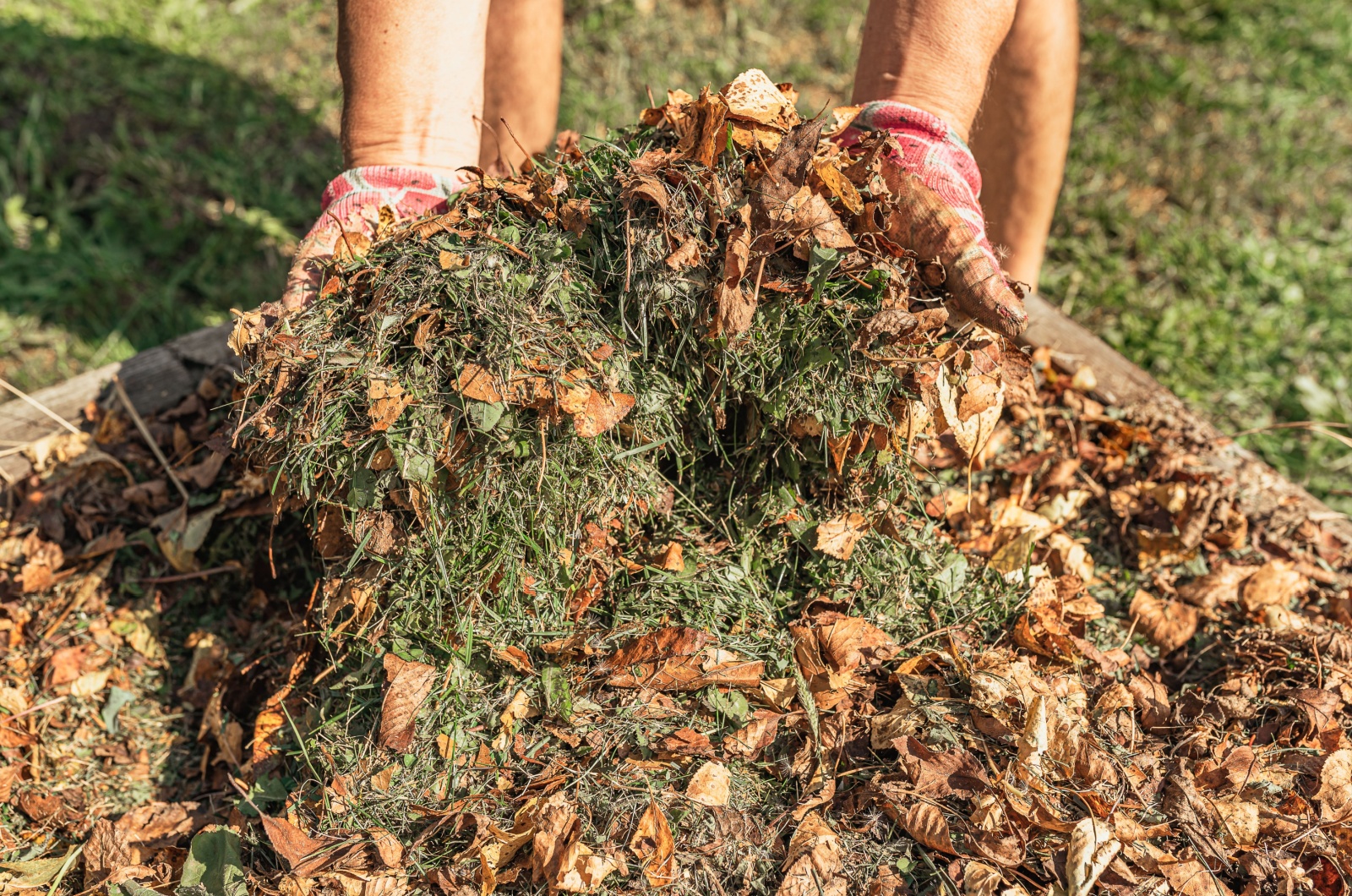 Shredded grass and dry fallen leaves