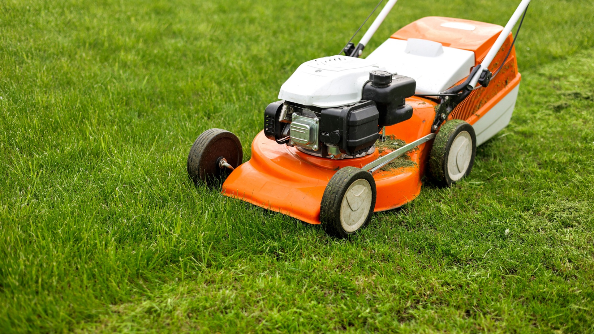 Stop Mowing Your Lawn At This Time Of Year For The Healthiest Grass In The Spring 