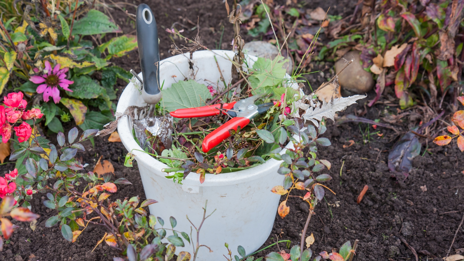 bucket with garden supplies