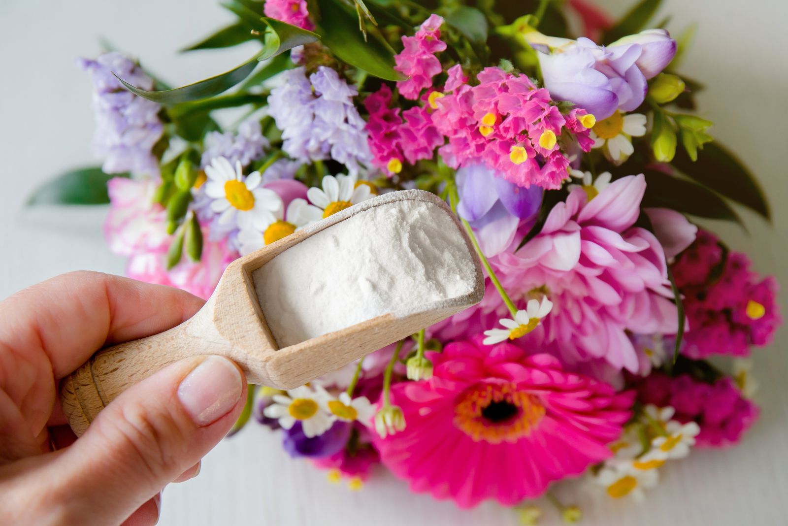 You Won’t Believe How This Kitchen Ingredient Can Keep Your Peonies Thriving For Years