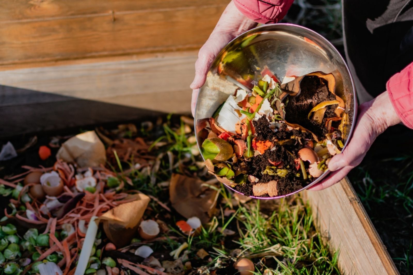 a human putting food leftovers for fertilizer