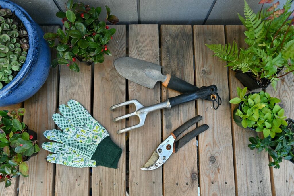 a tool for working in the garden