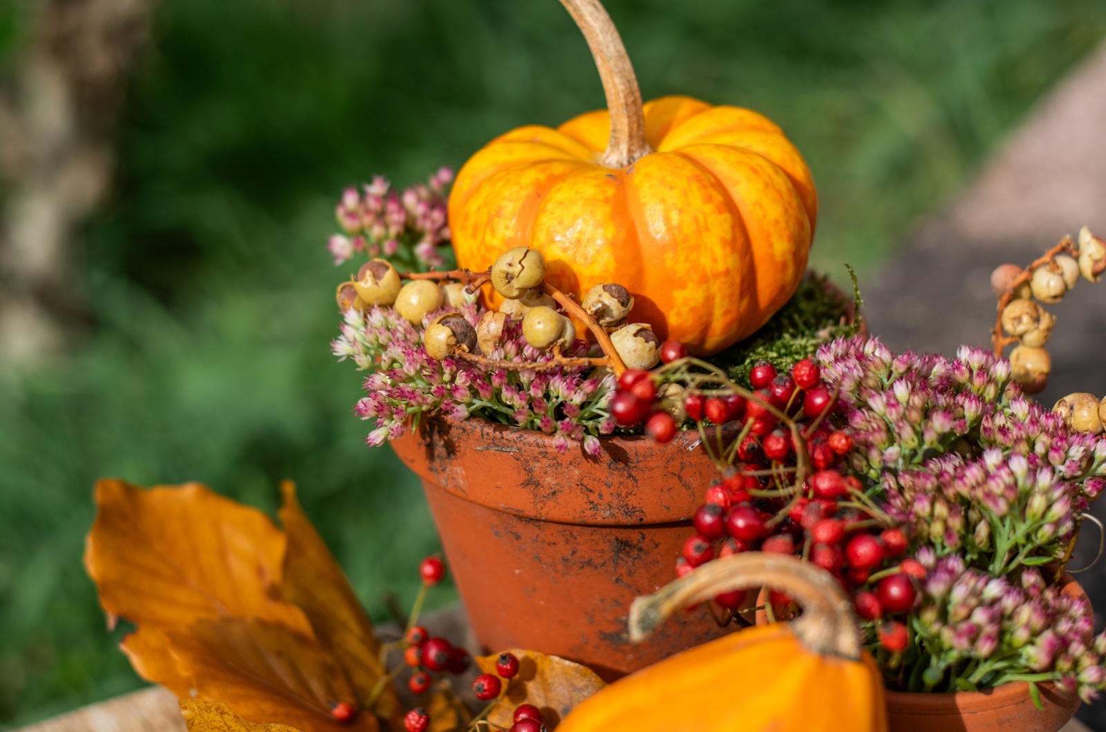 autumn decoration with small rustic pumpkins