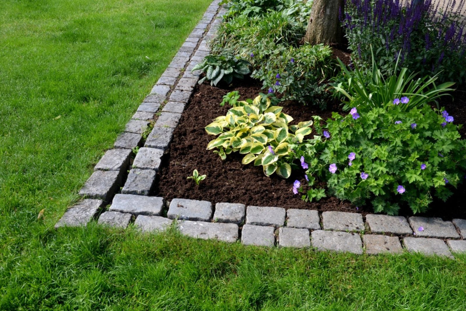 edged flowerbed