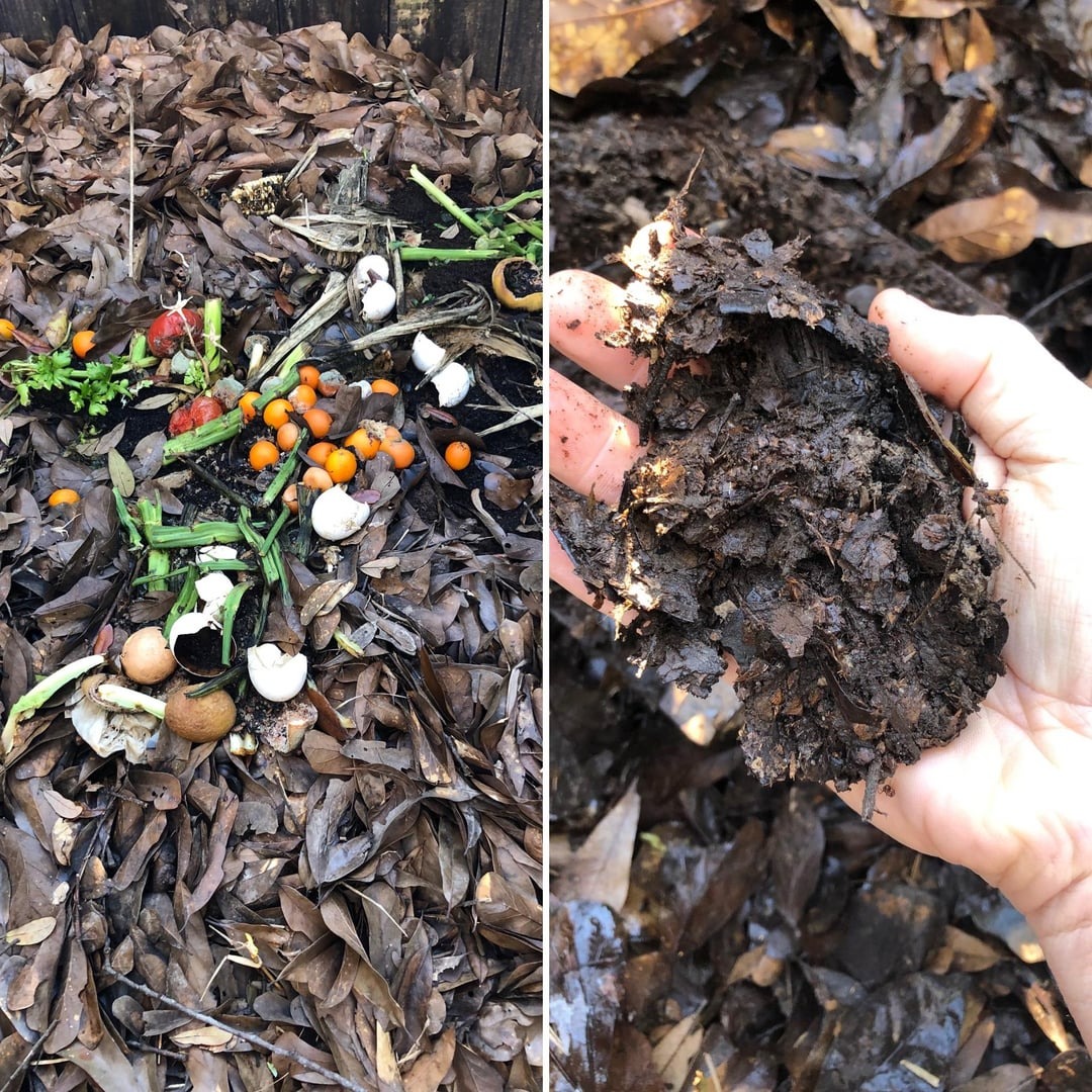 food leftovers on the leaves making fertilizer