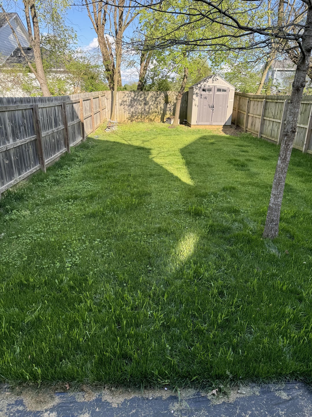 photo of a lawn