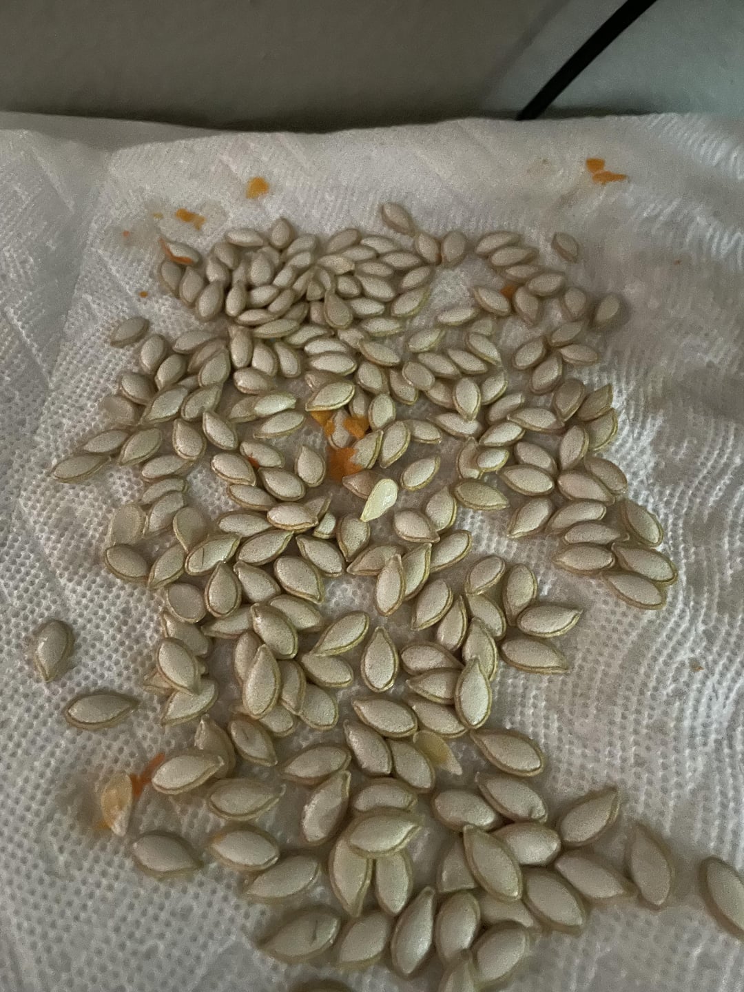 pumpkin seeds