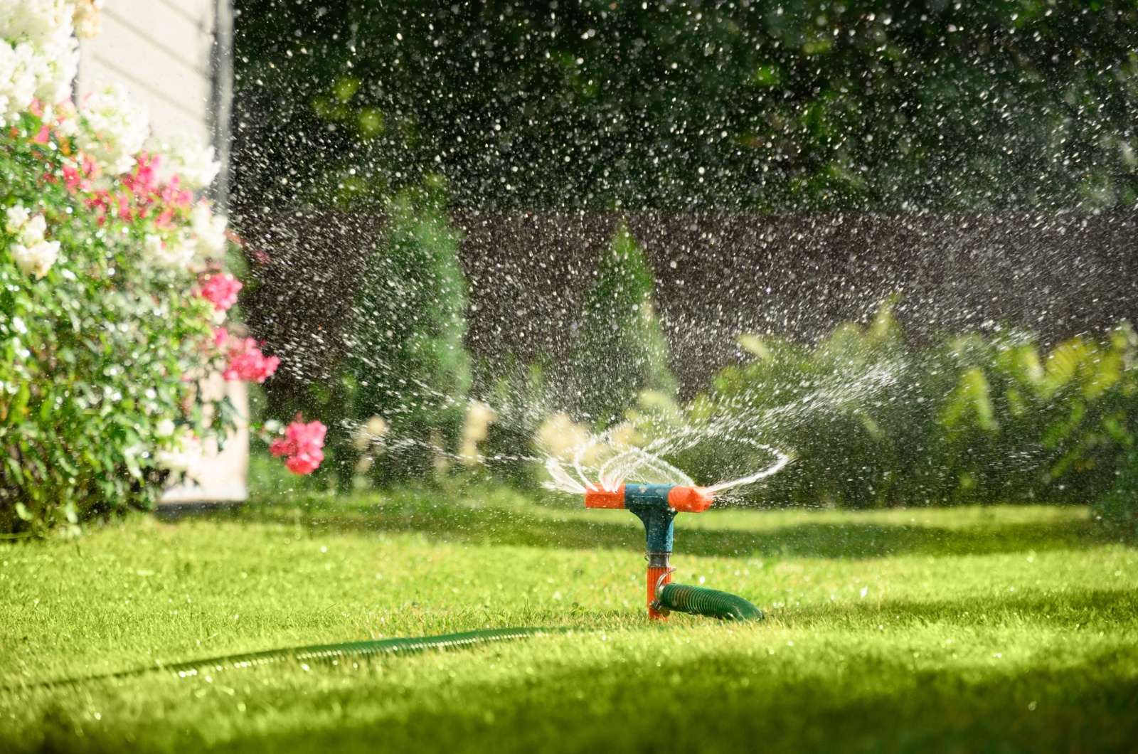 sprinklers watering the lawn