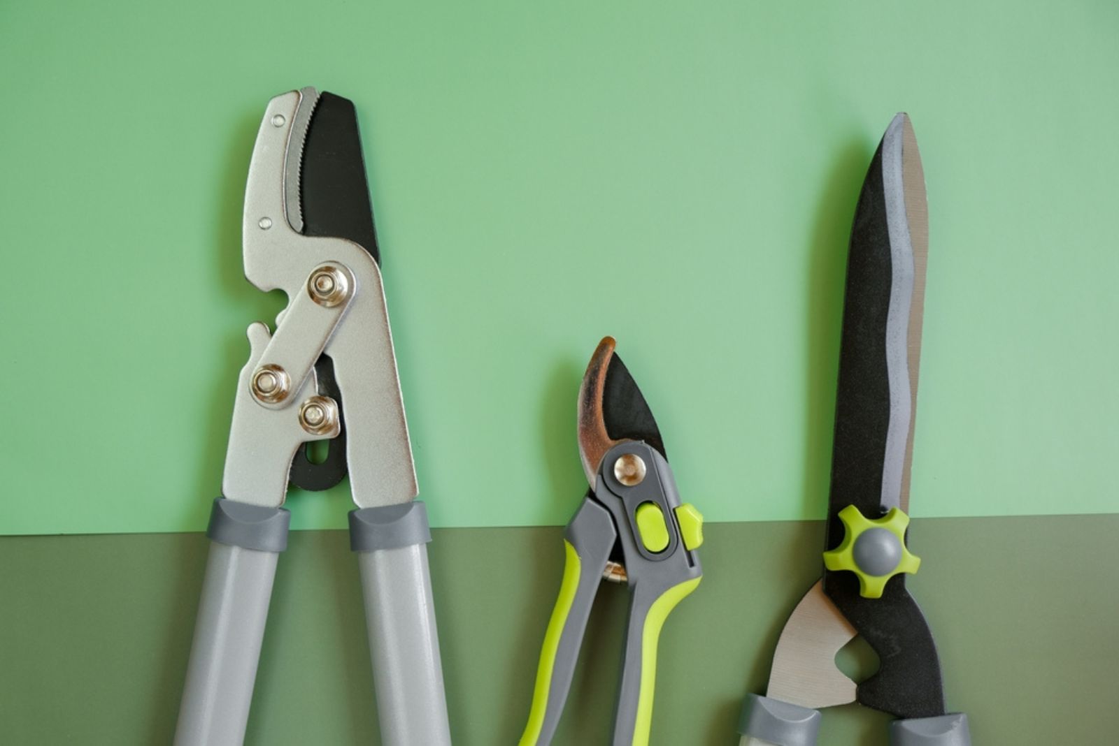 tools for topiary cutting of plants