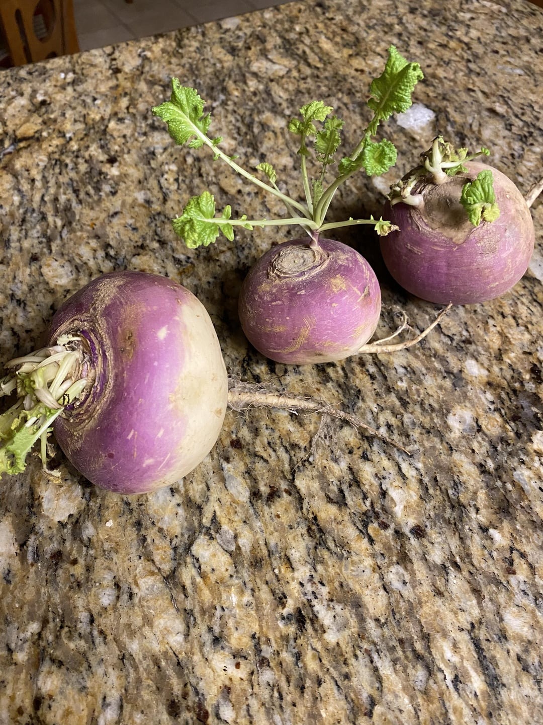 turnips on table