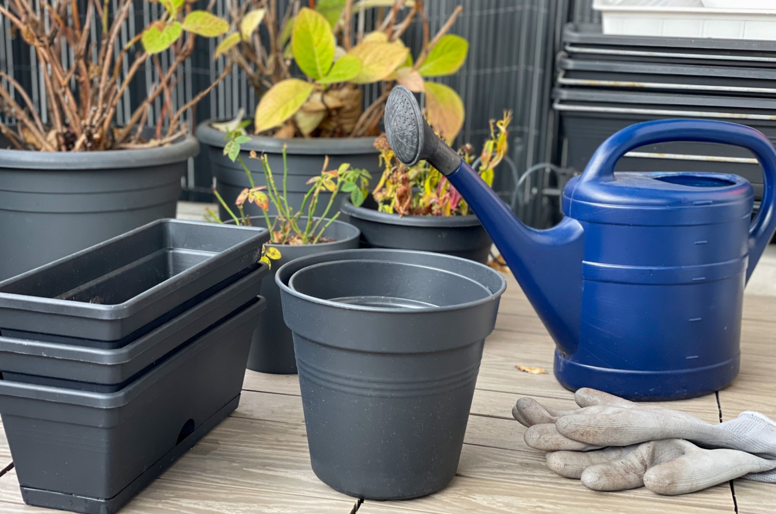 watering cans